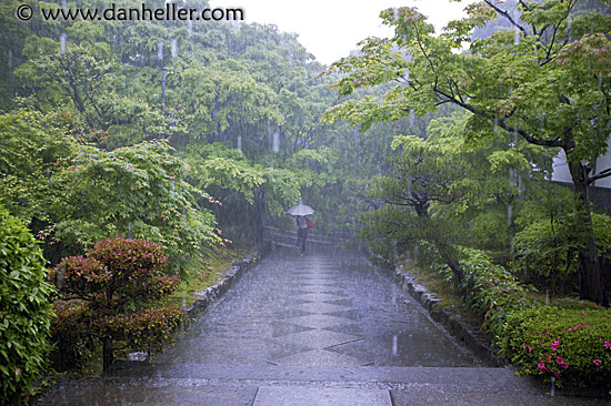 rainy-driveway.jpg