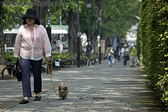 woman-walking-dog-1.jpg