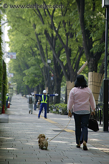 woman-walking-dog-2.jpg