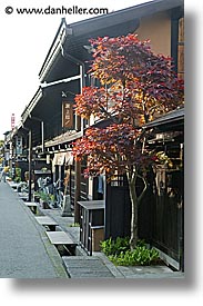 asia, browns, japan, takayama, towns, trees, vertical, photograph
