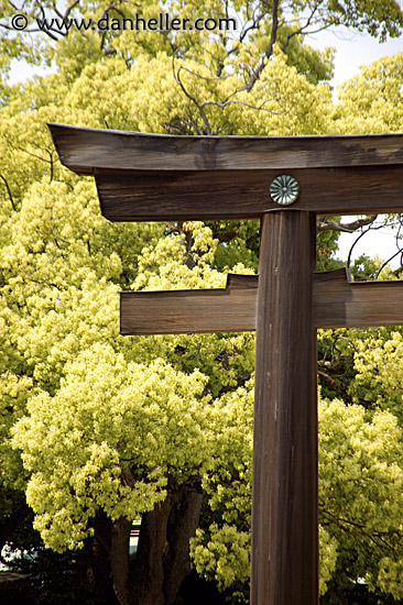 torii-gate-4.jpg