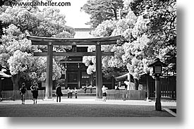 asia, black and white, gates, horizontal, japan, kanto, meiji shrine, tokyo, torii, photograph
