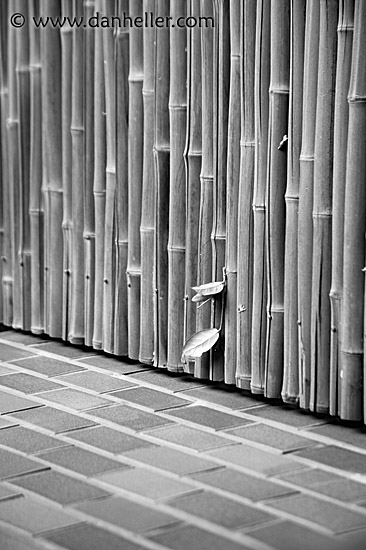 bamboo-wall-bw.jpg
