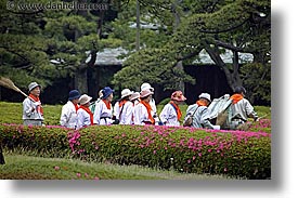 asia, gardners, horizontal, japan, kanto, oranges, royal palace gardens, scarved, tokyo, photograph