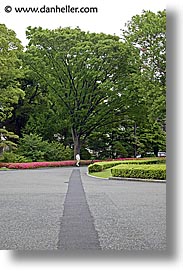 asia, japan, kanto, paths, royal palace gardens, tokyo, trees, vertical, photograph