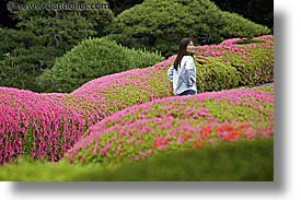asia, flowers, horizontal, japan, kanto, royal palace gardens, tokyo, walking, photograph