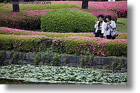 admiring, asia, horizontal, japan, kanto, pond, royal palace gardens, tokyo, womens, photograph