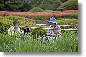 asia, drawing, horizontal, irises, japan, kanto, royal palace gardens, tokyo, womens, photograph