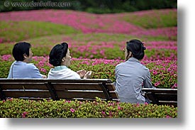 asia, benches, horizontal, japan, kanto, royal palace gardens, tokyo, womens, photograph