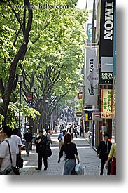 amokasando, asia, japan, kanto, omotasando, streets, tokyo, vertical, photograph