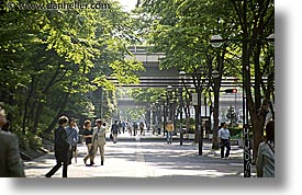 asia, horizontal, japan, kanto, streets, tokyo, trees, tunnel, photograph