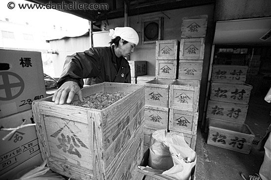 box-worker-1-bw.jpg