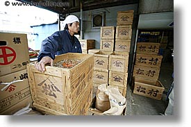 asia, boxes, horizontal, japan, kanto, tokyo, tsukiji market, workers, photograph