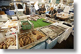 asia, horizontal, japan, kanto, seafood, tokyo, tsukiji market, photograph
