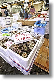 asia, japan, kanto, seafood, tokyo, tsukiji market, vertical, photograph