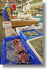 asia, japan, kanto, seafood, tokyo, tsukiji market, vertical, photograph