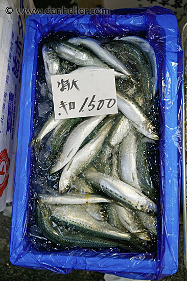 misc-seafood-8.jpg