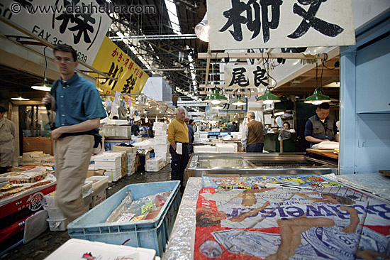 wide-view-market-1.jpg