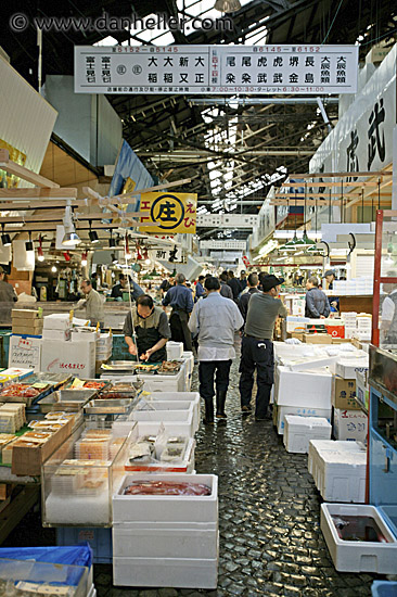 wide-view-market-3.jpg