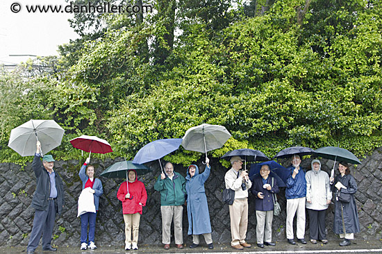 group-umbrellas-2.jpg