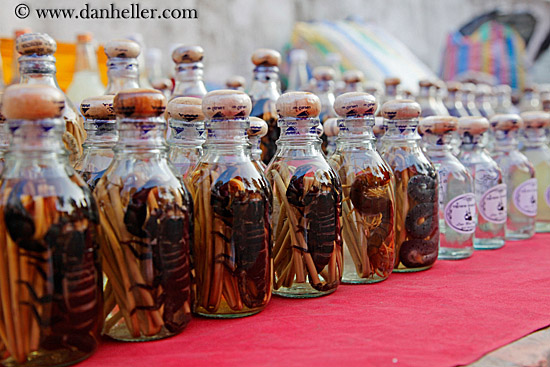 scorpion-in-a-bottle-02.jpg