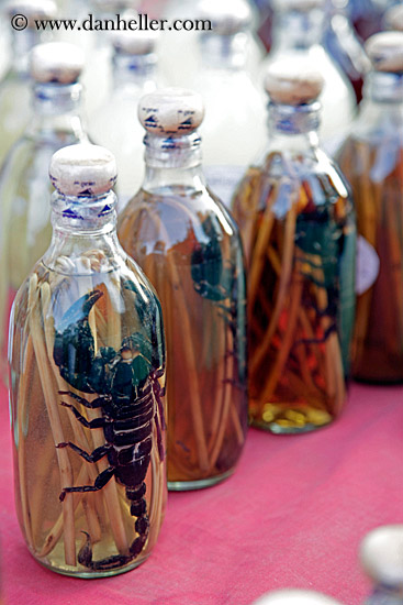 scorpion-in-a-bottle-03.jpg