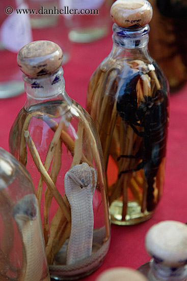 scorpion-n-cobra-in-bottle.jpg