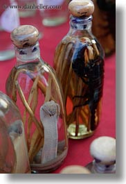 images/Asia/Laos/LuangPrabang/Animals/scorpion-n-cobra-in-bottle.jpg