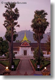 asia, buildings, laos, luang prabang, museums, nature, palace, palm trees, plants, trees, vertical, photograph