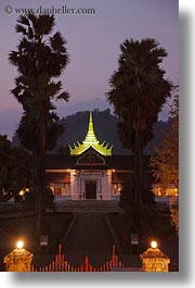 asia, buildings, laos, luang prabang, museums, nature, nite, palace, palm trees, plants, trees, vertical, photograph