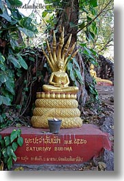 asia, buddhas, buddhist, buildings, golden, laos, luang prabang, phou si mountain, religious, statues, temples, vertical, photograph