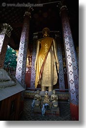 asia, buddhas, buddhist, buildings, golden, inside, laos, luang prabang, religious, tall, temples, vertical, wat sene, photograph