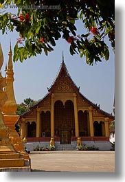 asia, branches, buddhist, buildings, laos, luang prabang, religious, temples, vertical, wat sene, photograph