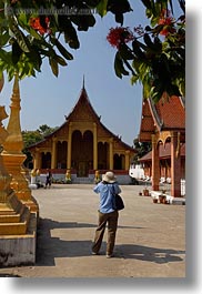 asia, branches, buddhist, buildings, laos, luang prabang, photographers, religious, temples, vertical, wat sene, photograph