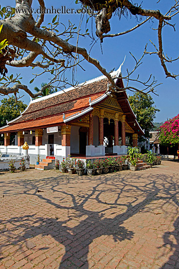 tree-shadows-n-temple-3.jpg