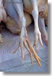 asia, chickens, feet, laos, luang prabang, vertical, photograph