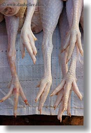 asia, chickens, feet, laos, luang prabang, vertical, photograph