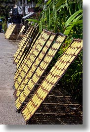 asia, crepes, laos, luang prabang, rice, vertical, photograph