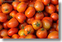 asia, horizontal, laos, luang prabang, tomatoes, photograph