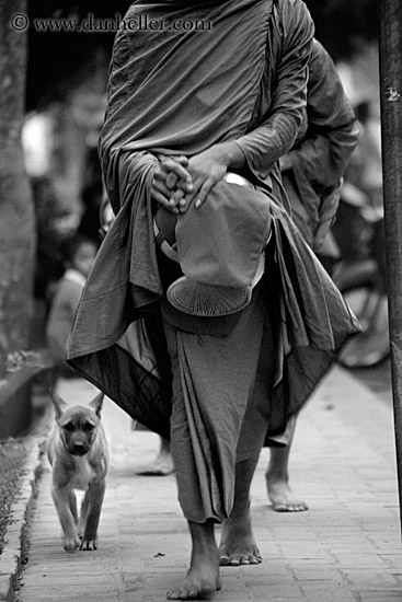 dog-n-monks-01-bw.jpg
