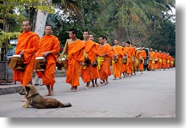 asia, asian, colors, dogs, horizontal, laos, luang prabang, men, monks, oranges, people, procession, walking, photograph