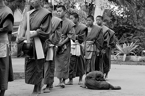 dog-n-monks-03-bw.jpg