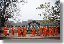 asia, asian, colors, horizontal, laos, luang prabang, men, monks, oranges, people, procession, walking, photograph