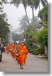 asia, asian, colors, laos, luang prabang, men, monks, oranges, people, procession, vertical, walking, photograph