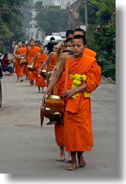 asia, asian, colors, laos, luang prabang, men, monks, oranges, people, procession, vertical, walking, photograph