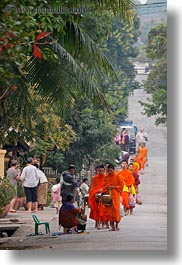 asia, asian, colors, laos, luang prabang, men, monks, oranges, people, procession, vertical, walking, photograph