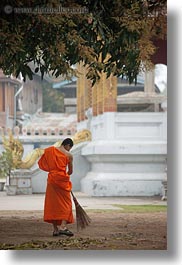 asia, asian, colors, laos, luang prabang, men, monks, oranges, people, singles, sweeping, vertical, photograph