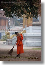 asia, asian, colors, laos, luang prabang, men, monks, oranges, people, singles, sweeping, vertical, photograph