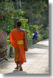 asia, asian, away, colors, laos, luang prabang, men, monks, oranges, people, sidewalks, singles, vertical, walking, photograph