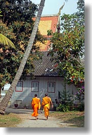 asia, asian, colors, laos, luang prabang, men, monks, oranges, palm trees, people, two, under, vertical, walking, photograph